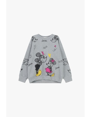Dixie sweatshirt met ronde hals, cartoonprint en kleurrijke details