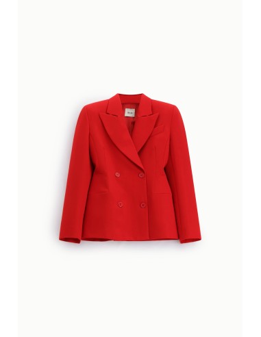 Blazer à double boutonnage Coupe régulière Poches avant Dixie