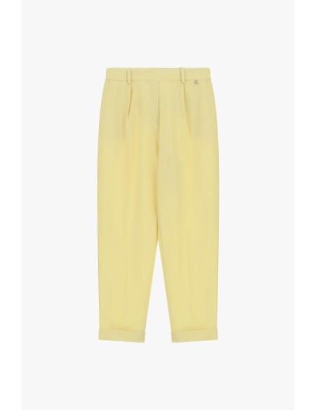 Tailored broek met plooien en hoge omslag Dixie