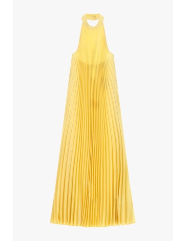 Robe longue plissée avec col américain Dixie