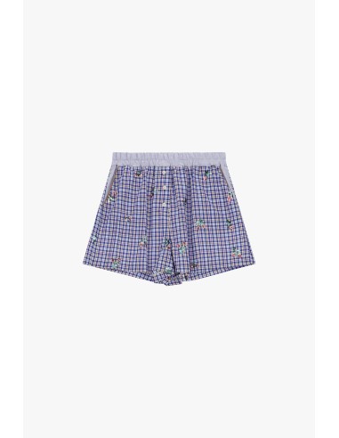 Regular-fit shorts met ruitjes, knopen en geborduurd dessin van Dixie