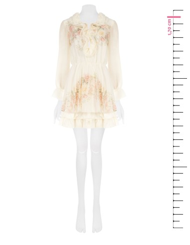 Robe Rinascimento