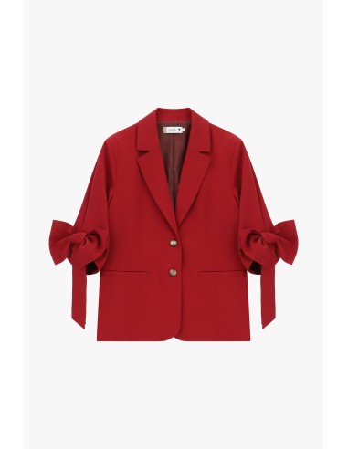 Blazer à manches bouffantes et fermeture à deux boutons- plait