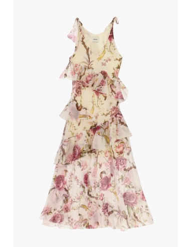 Robe longue à imprimé floral et volants Dixie