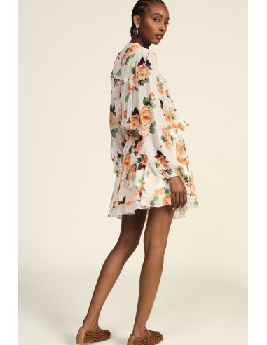 Robe courte à imprimé floral froncée avec liens Dixie