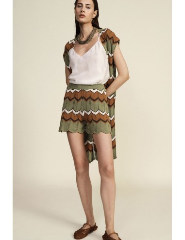 Dixie-jacquardshorts met zigzagstrepen en geschulpte rand