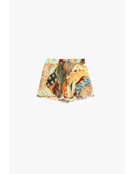 Regular-fit shorts met veelkleurige fantasieprint Dixie