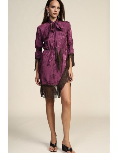 Robe courte à manches volantées et franges Dixie