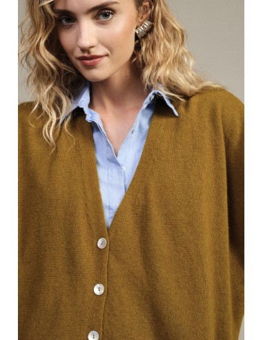 Pull sans manches à boutons et col V Dixie
