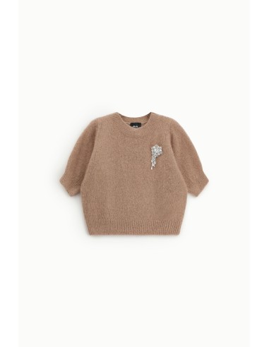Pull à col rond à manches mi-longues avec application bijou Dixie