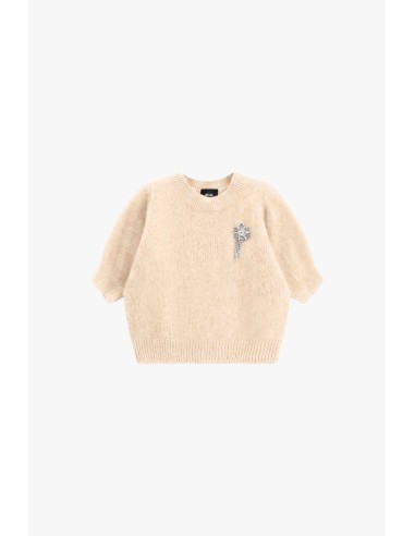 Pull à col rond à manches mi-longues avec application bijou Dixie