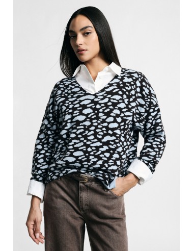 Pull à col en V à imprimé léopard jacquard Please