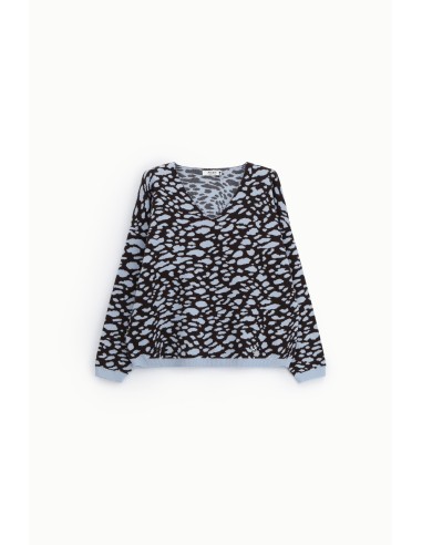 Pull à col en V à imprimé léopard jacquard Please
