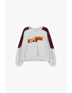 Sweat-shirt à col rond avec manches contrastantes et imprimé sur le devant Dixie 2