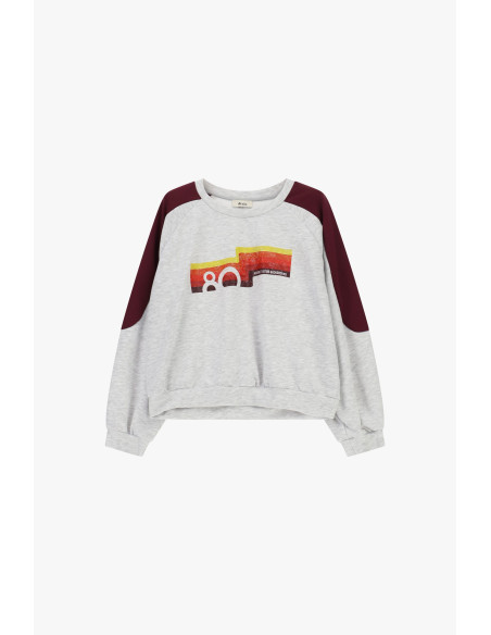 Sweater met ronde hals, contrasterende mouwen en opdruk aan de voorkant Dixie