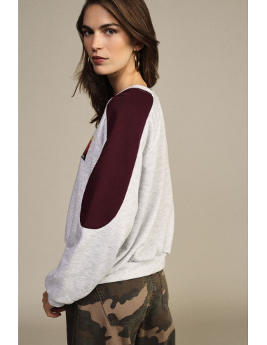 Sweat-shirt à col rond avec manches contrastantes et imprimé sur le devant Dixie