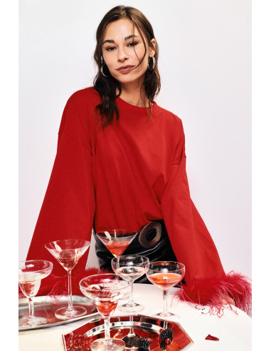 Dixie-trui met lange mouwen en manchetten van veren
