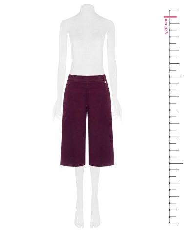 Rinascimento-broek