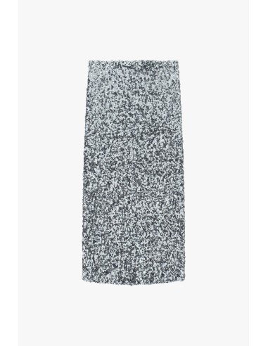 Dixie midi-rok met hoge taille en pailletten