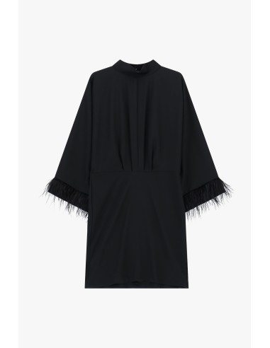 Robe courte à manches amples et empiècements en plumes Dixie