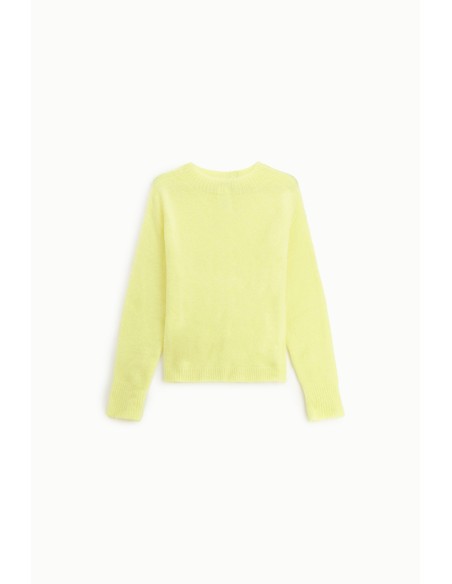 Pull regular à col rond et manches longues Dixie