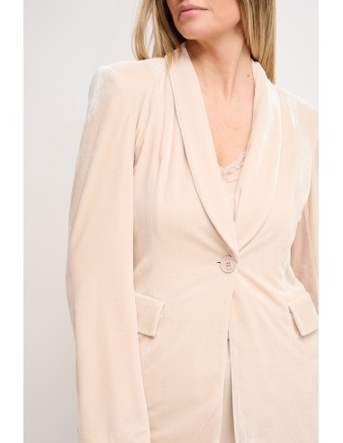 Maryley Velvet One-breasted Jacket