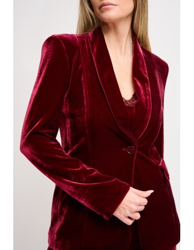 Maryley Velvet One-breasted Jacket