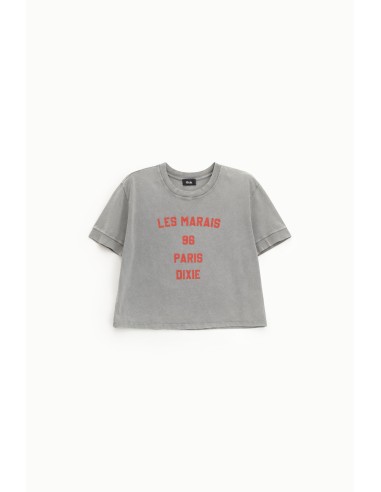 Front Print Cropped T-Shirt Regular Fit Dixie