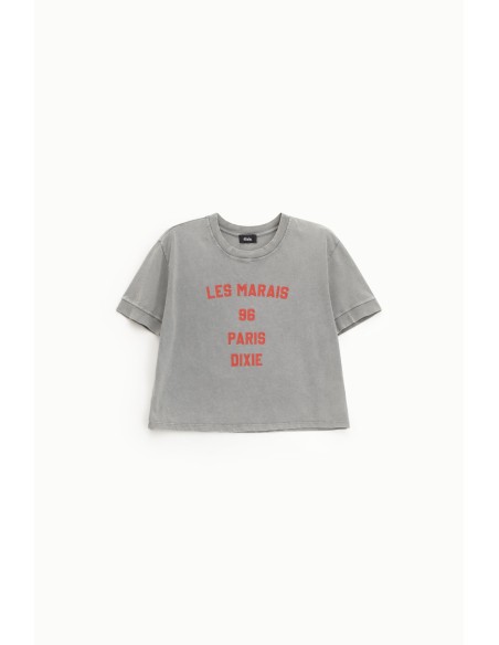 Front Print Cropped T-Shirt Regular Fit Dixie