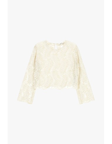 Top brodé à manches longues avec détails transparents Dixie