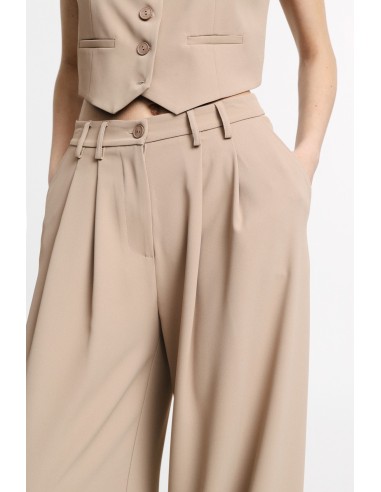 High-waisted palazzo broek met plooien aub