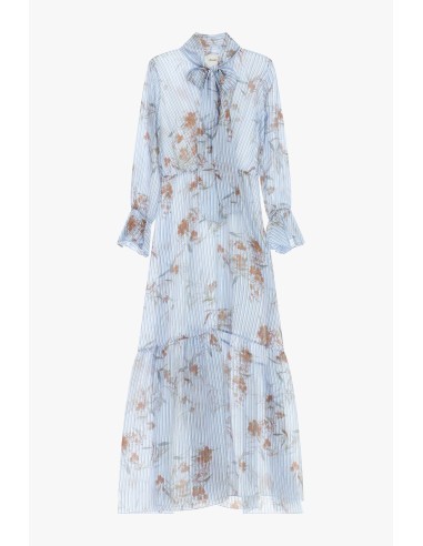 Robe longue à imprimé floral et col à nœud Dixie
