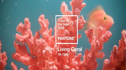 Living Coral : la couleur de 2019